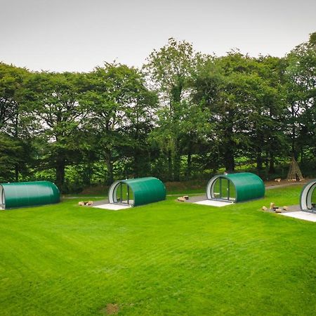 Further Space At Thornfield Luxury Glamping Pods, The Dark Hedges, Ballycastle Ballymoney Exterior foto