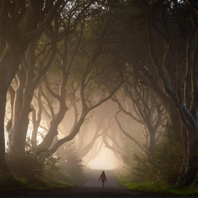Further Space At Thornfield Luxury Glamping Pods, The Dark Hedges, Ballycastle Ballymoney Exterior foto